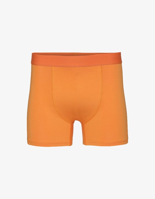 Colorful Standard orange boxers