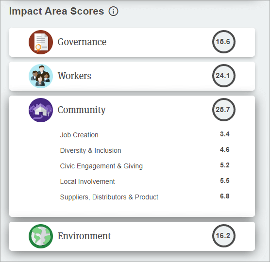 B Corp Impact Report example