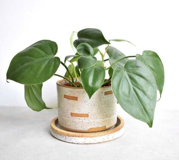 Katie Mudd handmade plant pot
