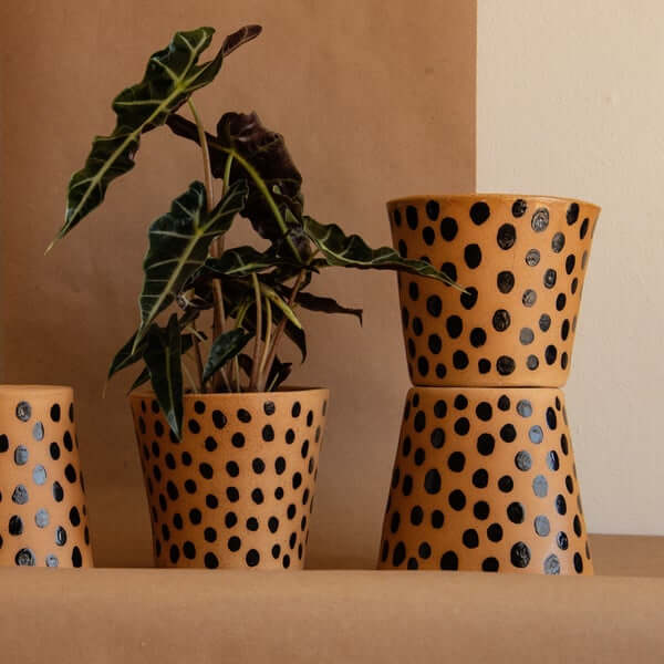 Anna Gates Studio handmade plant pot