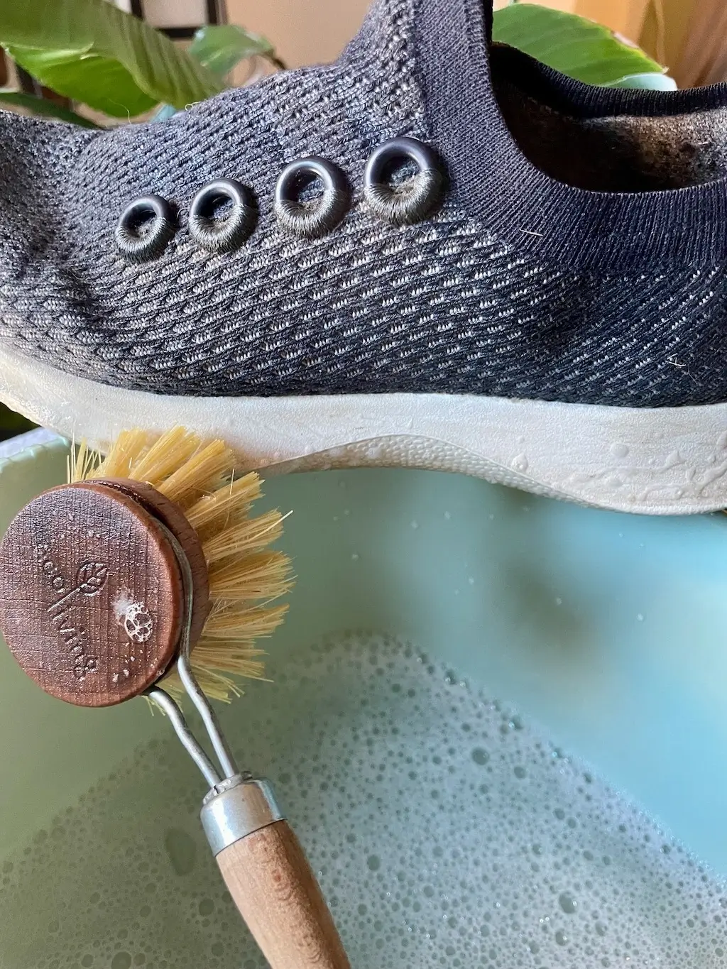 How To Wash Allbirds - Easy Guide With Pictures [2025]