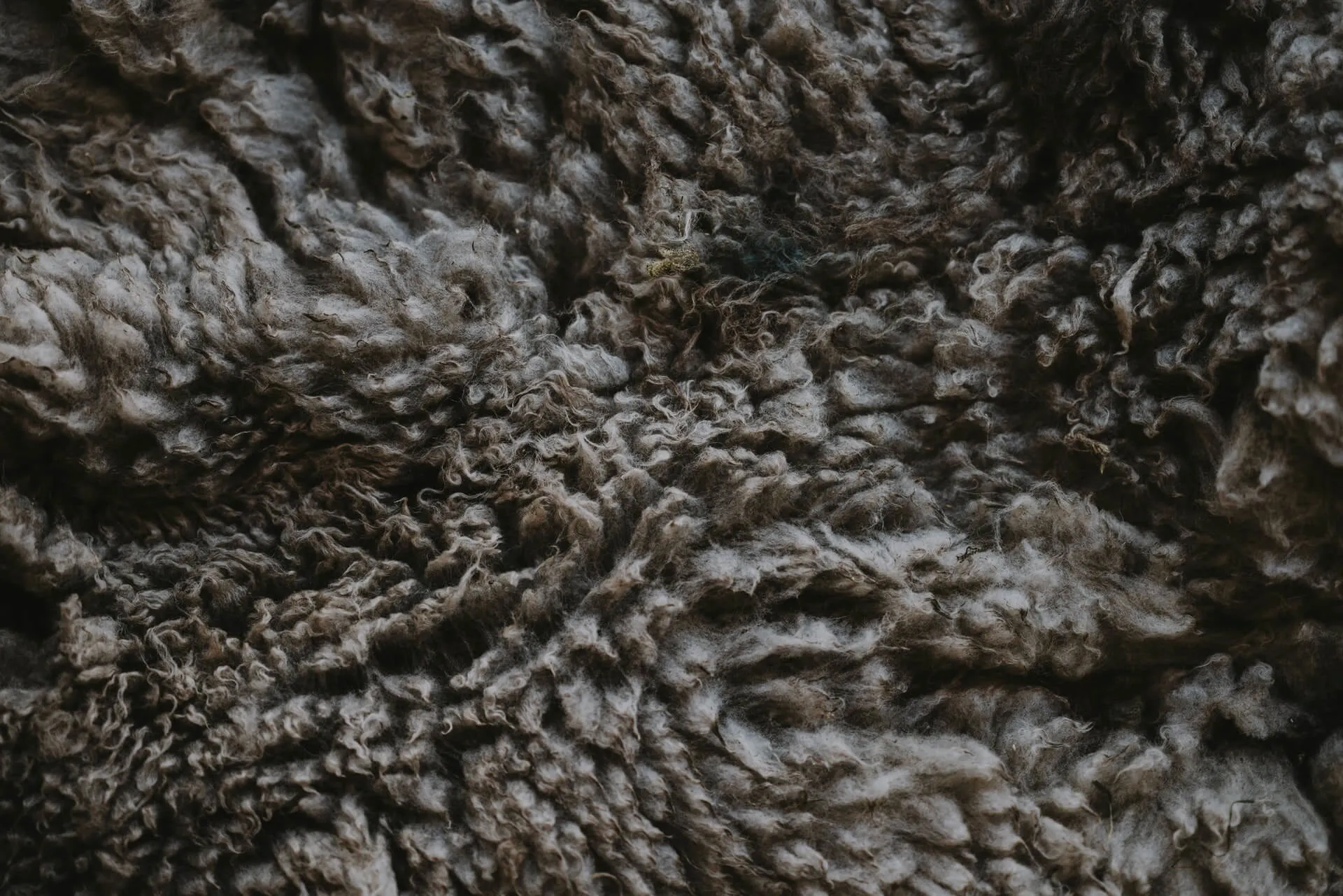 Material Guide: How Sustainable is Fleece?