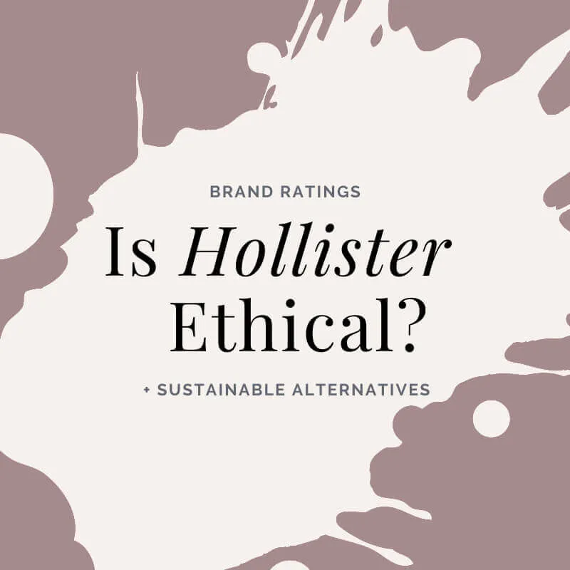 Is Hollister Ethical? Brand Breakdown and 4 Alternatives