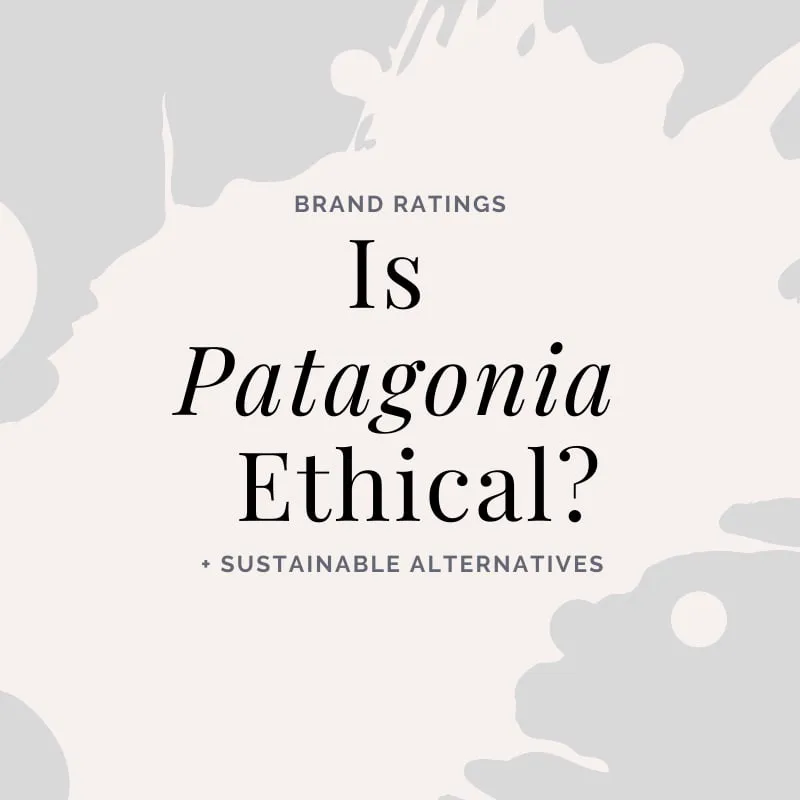 Is Patagonia Ethical? Patagonia Gives Company To Planet Earth