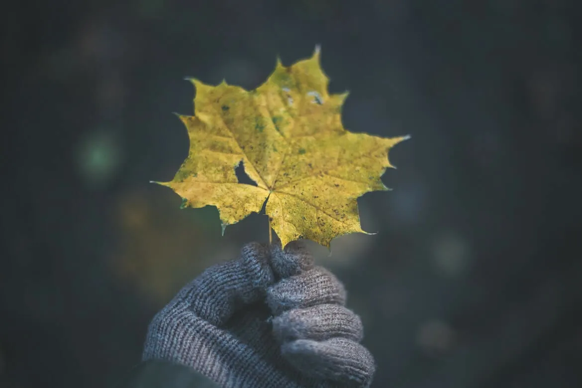 The Best Eco Friendly and Sustainable Gloves for Warm Hands